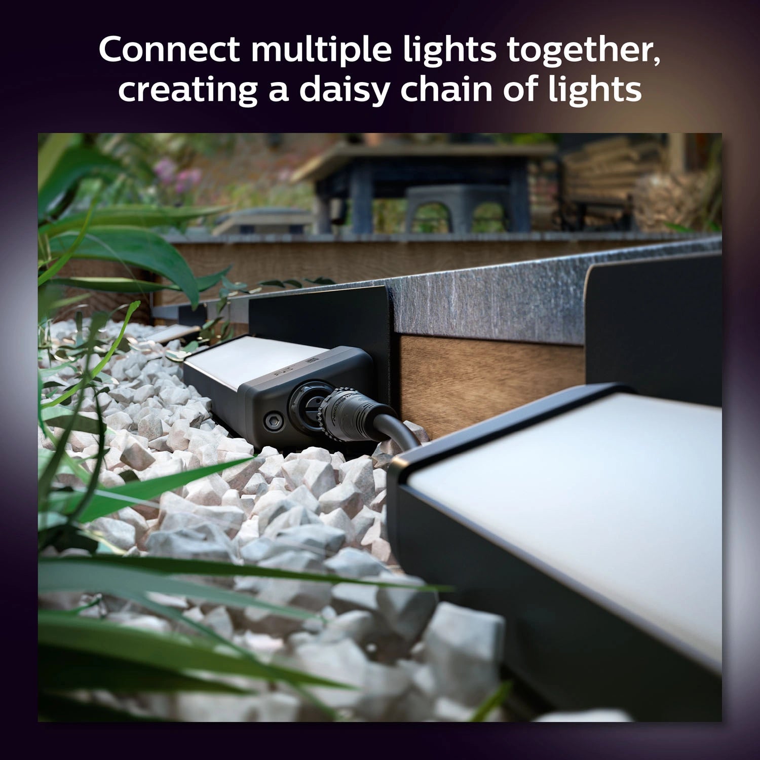 Amarant Garden floodlight White/Color 24V 20W