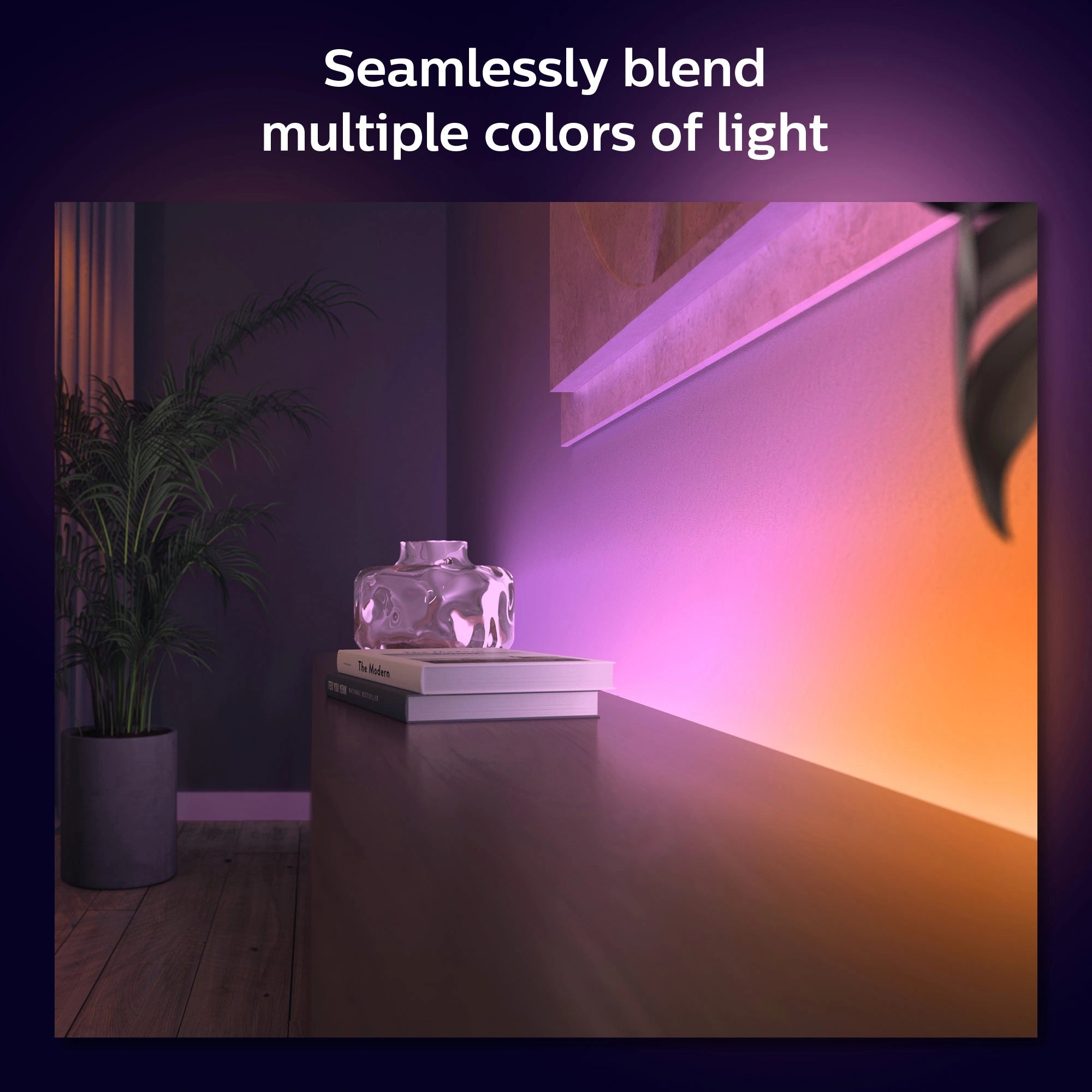 Gradient Lightstrip White/Color Basekit