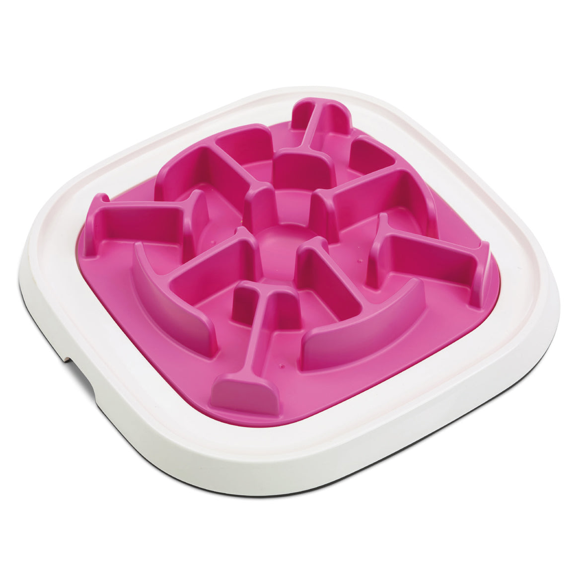 Aktiveringsleksak Pet Enigma Nr.10