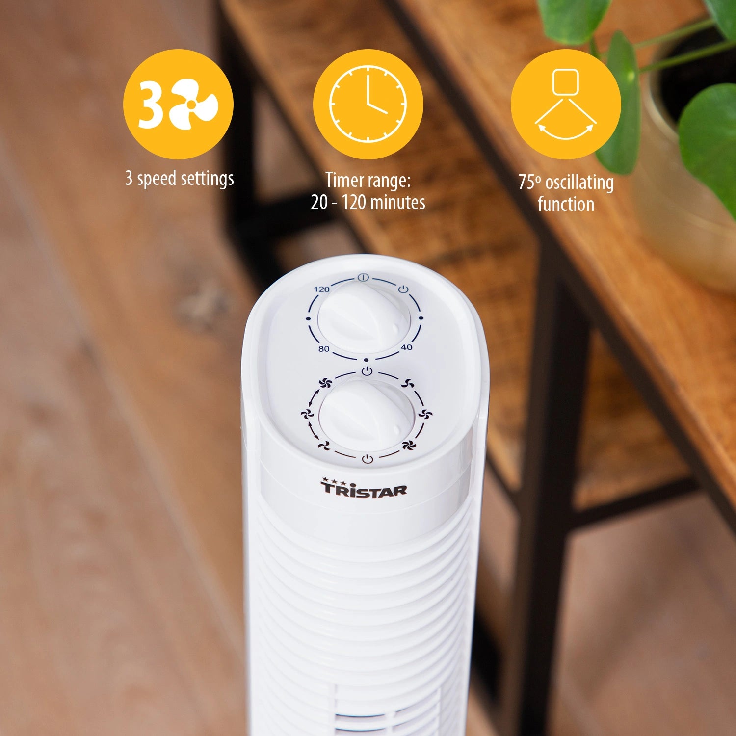 Pelarfläkt med timer