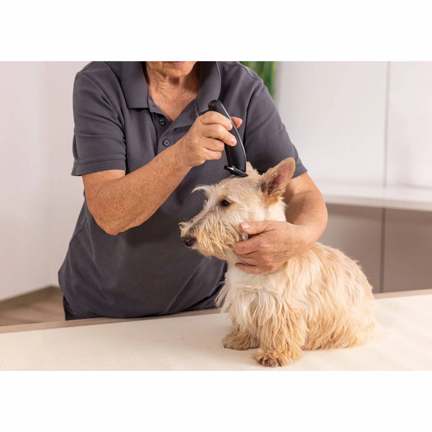 Prima Trimmer