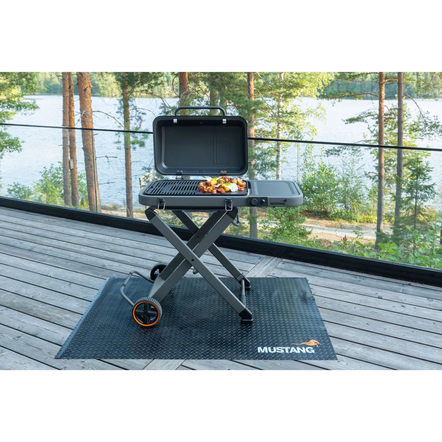 Gasolgrill Fold