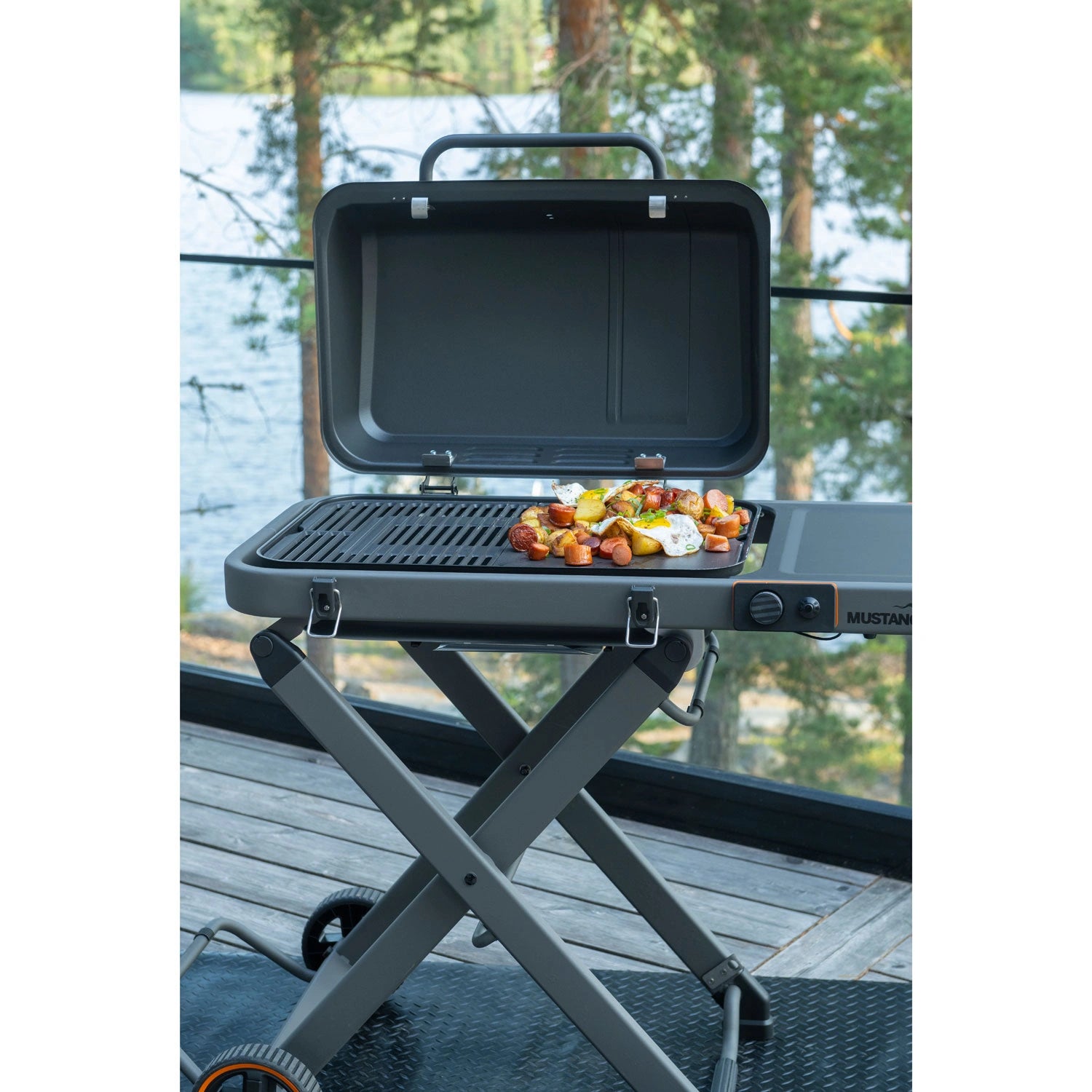 Gasolgrill Fold