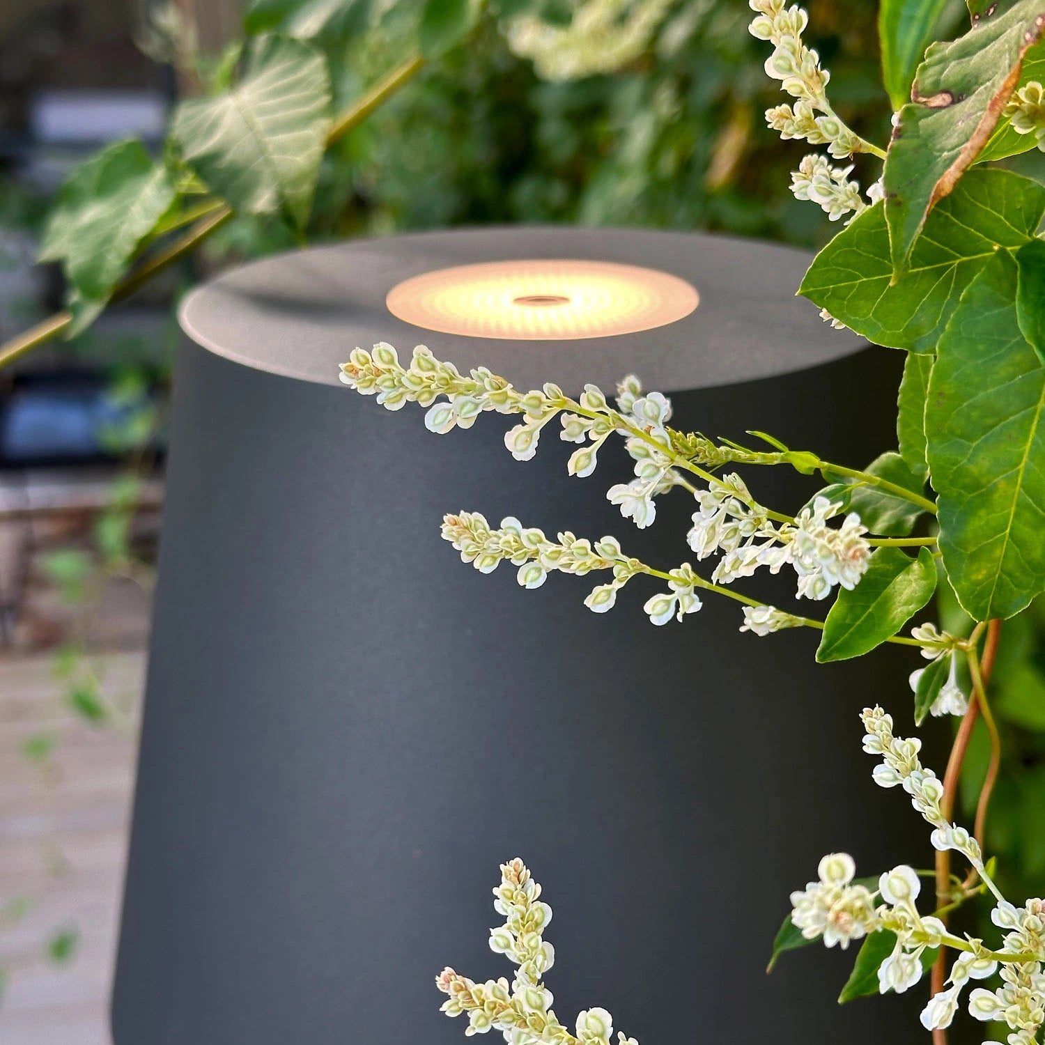 Sofy Golvlampa Dimbar 8W 870lm Grå