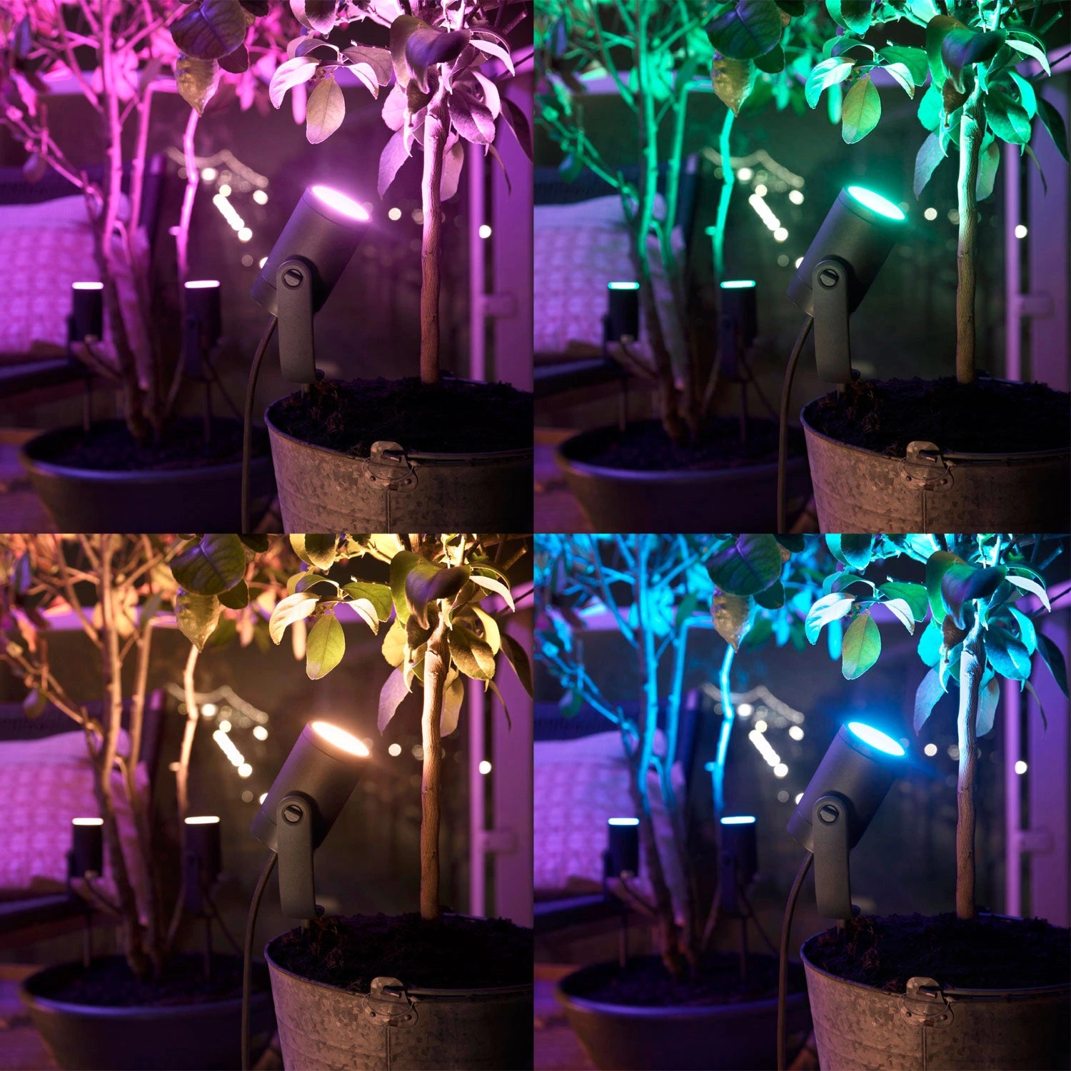 Lily spotlight utomhus White and Color ambiance utbyggn. 24V