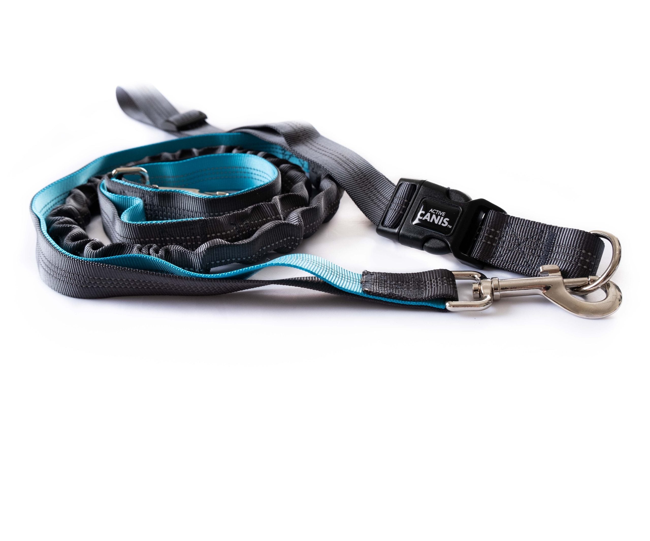 Canis Running leash with waist belt