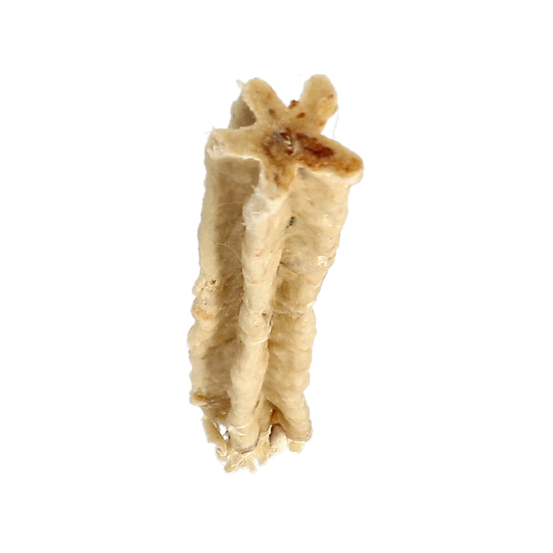 Dogman Tugg Dental med Kyckling 7p 12,5cm