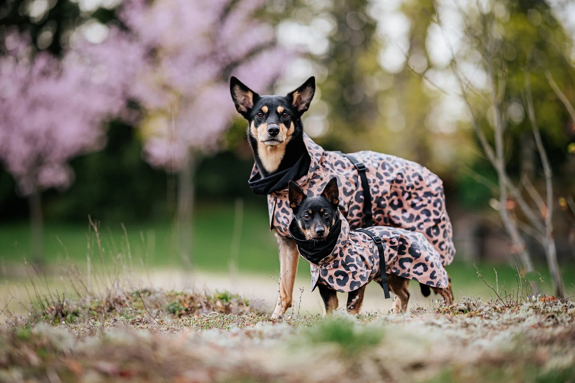 Paikka Visibility Raincoat Regntäcke