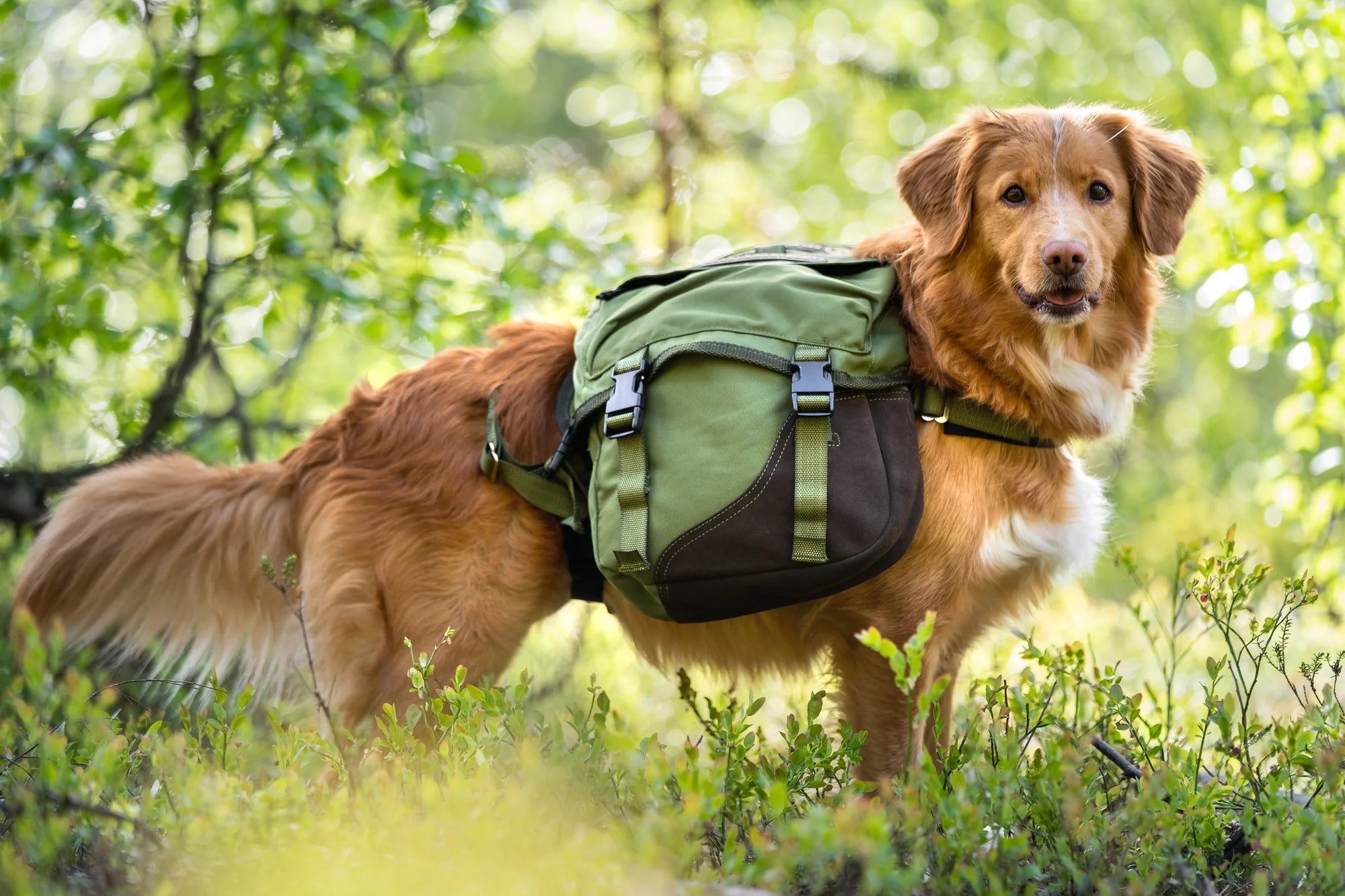 Seleverkstedet Klövjeväska Togo