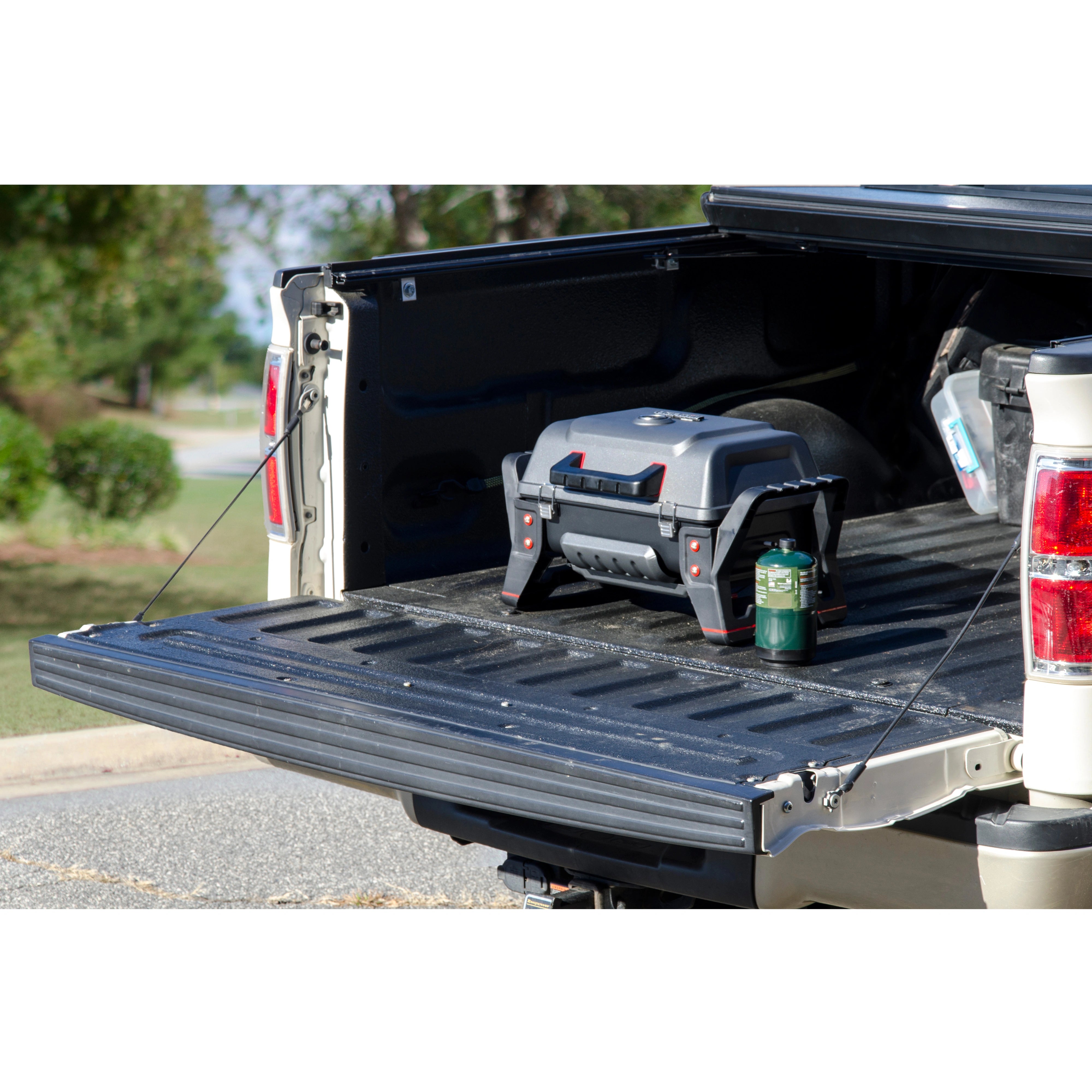 Gasolgrill Grill2Go X200