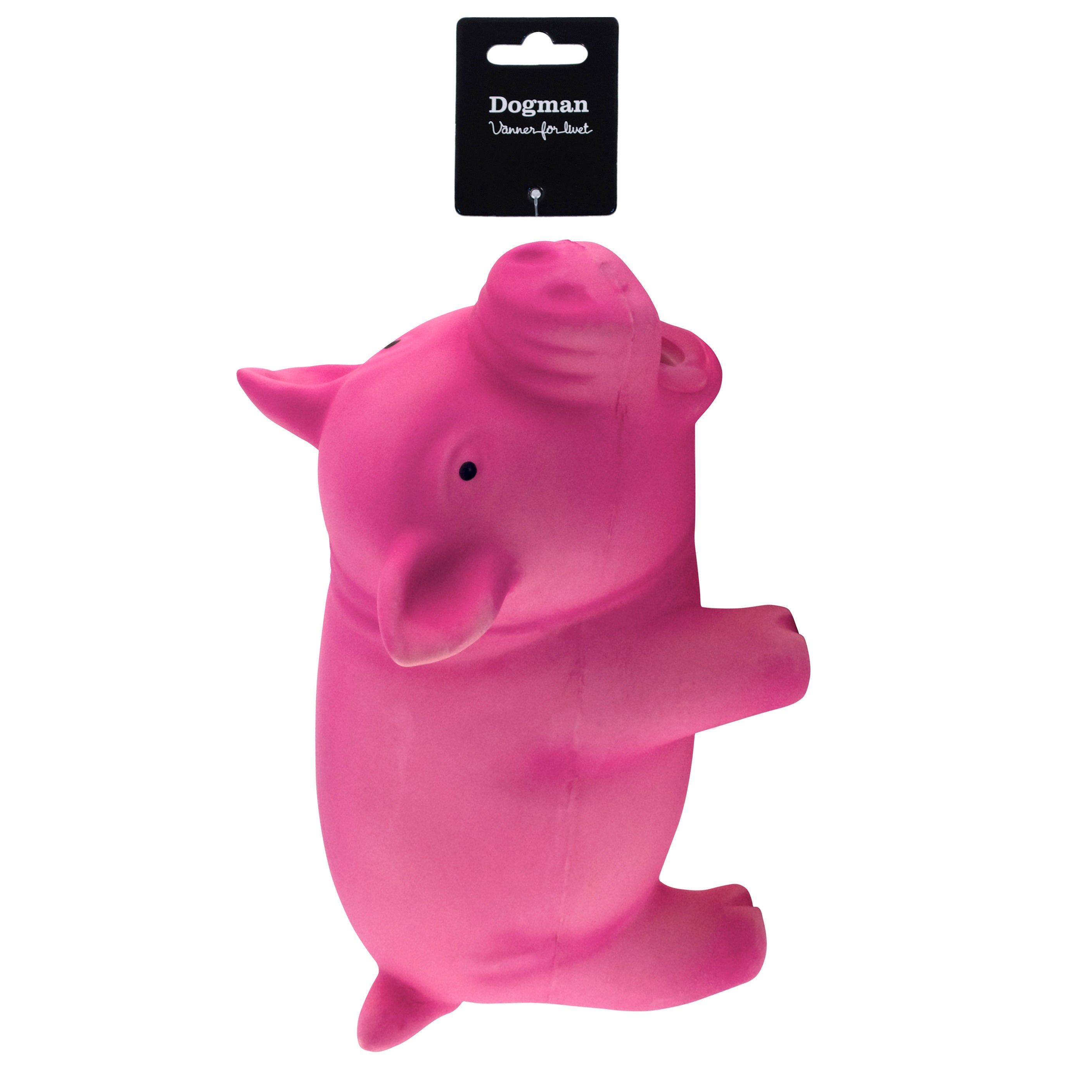 Latexgris Hundleksak