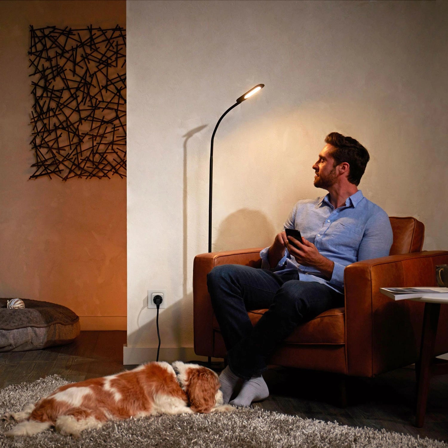 Smart plug