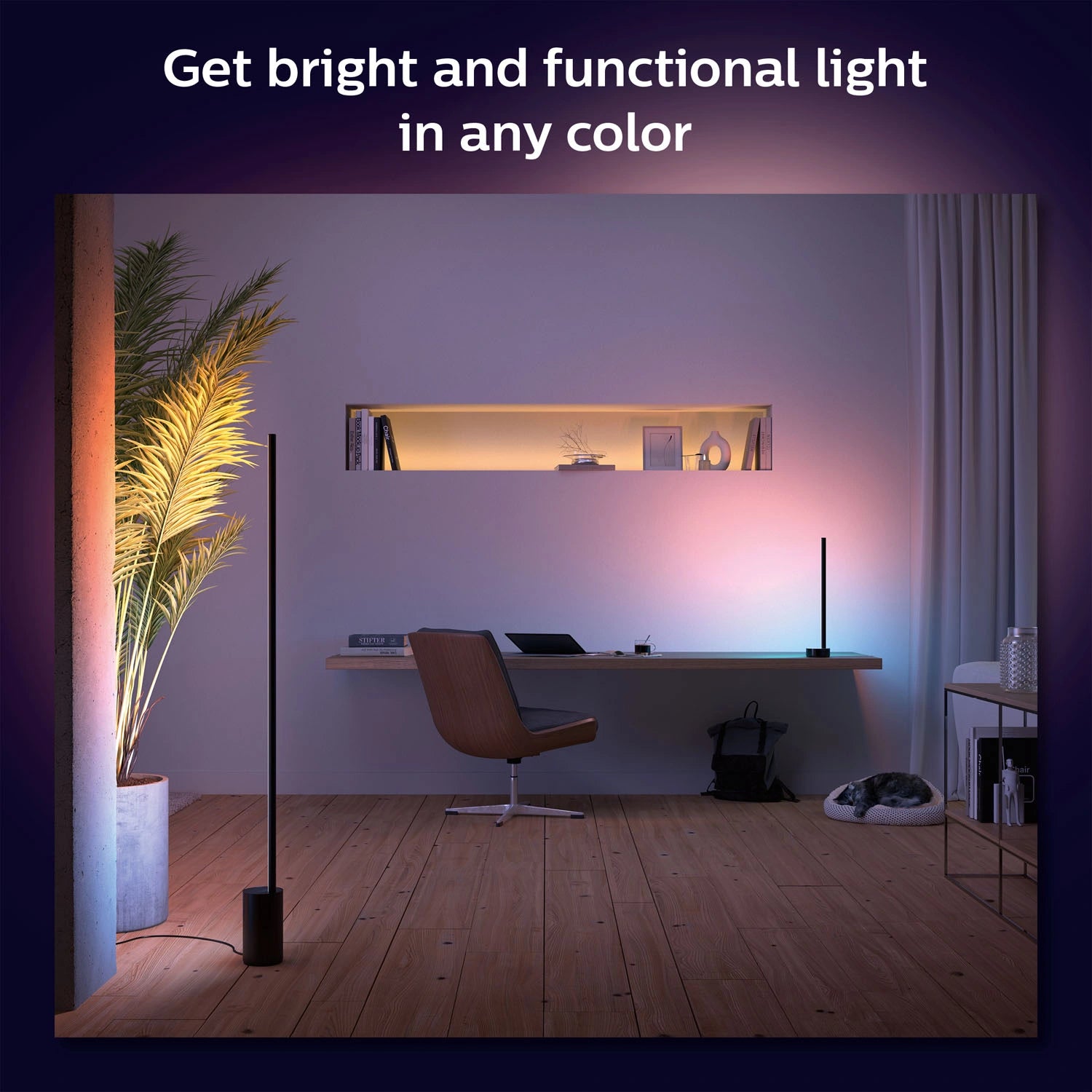 Gradient Signe Golvlampa White and Color Ambiance  Svart