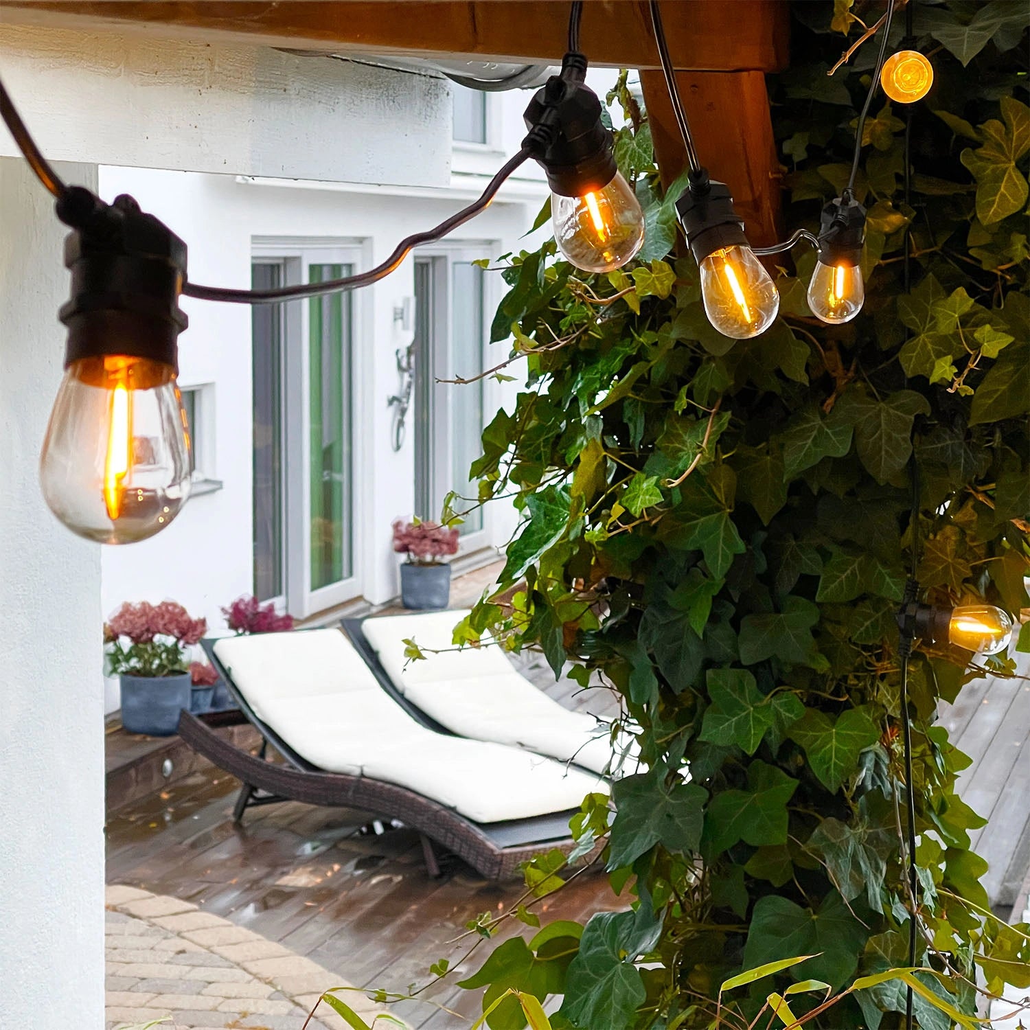 Cosy Startpaket 5m Partyslinga inkl. kabel och transformator 3W IP44