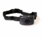 Active Canis No bark collar Max Performance with USB