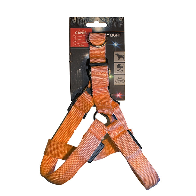 Led light Pet Harness M Orange